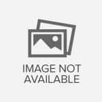 SHOP HOA TƯƠI TRƯỜNG AN - SHOP HOA TƯƠI VĨNH LỘC 